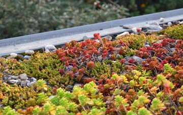 the cost of Ameysford green roof installation