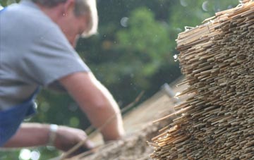 professional Ameysford thatchers